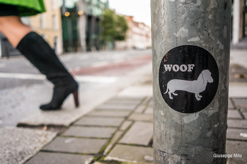 Far Hills woman wins interior design kudos - New Jersey Hills