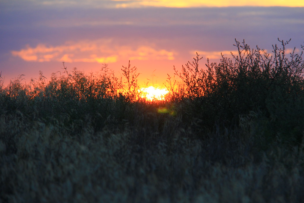 Jeep's Interior Design Chief Just Revealed What Will Surprise Longtime Cherokee Drivers Most About The 2026 Model's Cabin - Torque News