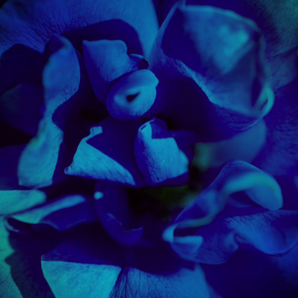 Whatever Happened To HGTV's Genevieve Gorder? - thelist.com