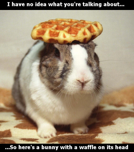 Talking About Interior Design on Your Dating Apps Can Lead to Better Matches, According to Experts - AOL.com