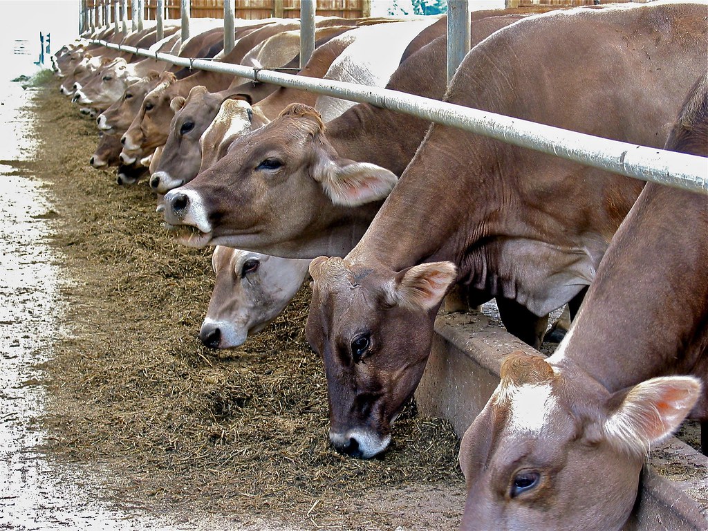 L Architects creates green haven, merging interior design with nature in Singapore - World Architecture Community