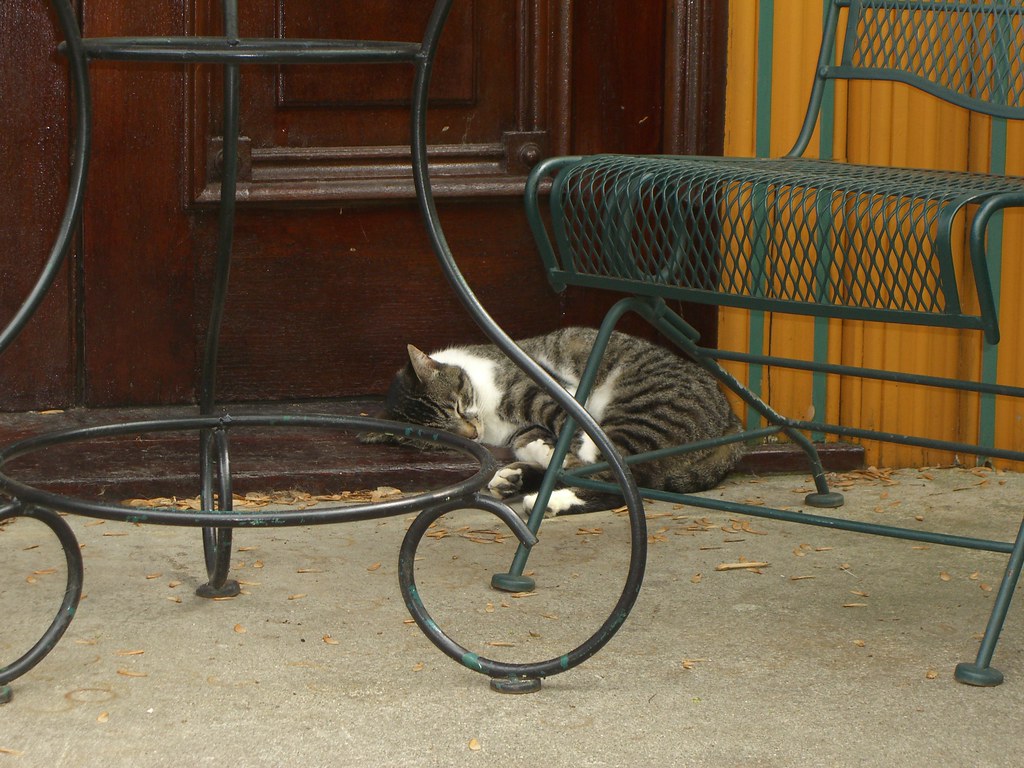 ST. CLAIR COLLEGE Interior Design students get glimpse at designs of tomorrow at IDS 26 - Education News Canada