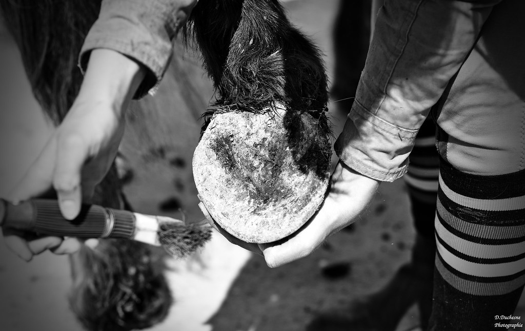 Is Instagram Ruining Interior Design? Interior Experts Reveal Their Honest Thoughts - House Beautiful