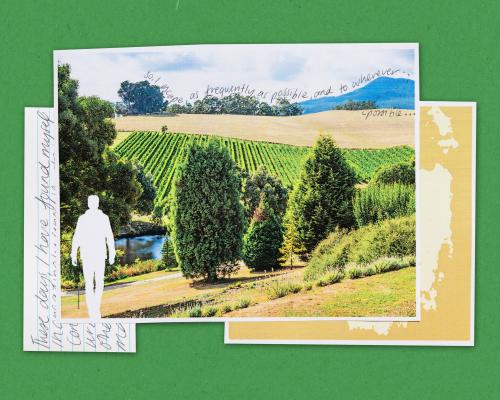 Tasmania’s Mount Arthur: a place awash with the true sort of quiet that soaks into your skin | Joseph Earp