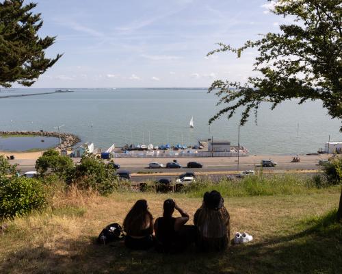 England wildlife watchdog ‘has stopped designating special sites for protection’