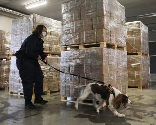 Belgium at risk of becoming ‘narco-state’, judge warns