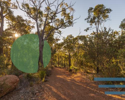 ‘The environmental movement needs many hands’: saving Australia’s biodiversity is getting personal