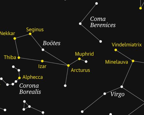 Boötes the herdsman rises to prominence in the northern sky
