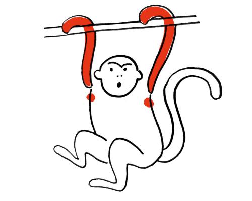 Thursday news quiz: insurance scams, drinking games and errors of biblical proportions