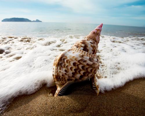 Strange Beach by Oluwaseun Olayiwola audiobook review – a debut that dances with passion