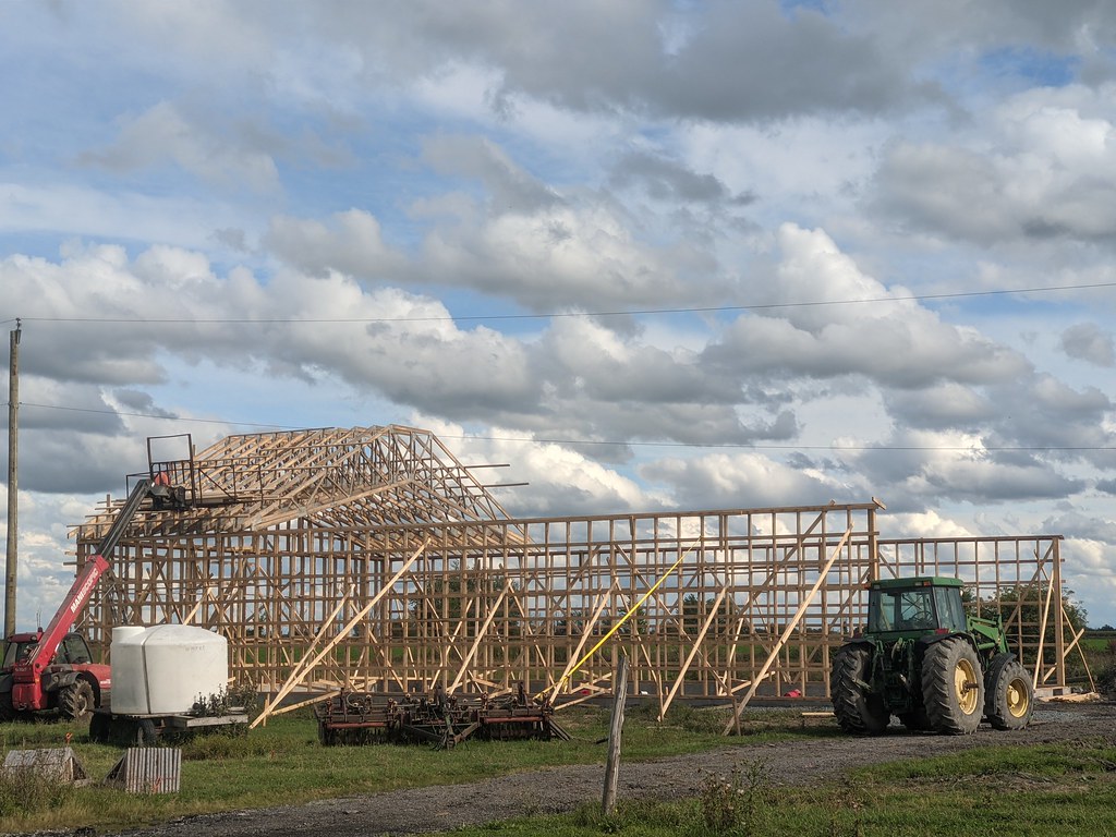 I Have ‘Statement Fatigue’ – Here’s How I’m Simplifying My Rooms in 2026 and Why Designers Agree Fewer Focal Pieces Is Key to a Chicer Home - Homes and Gardens