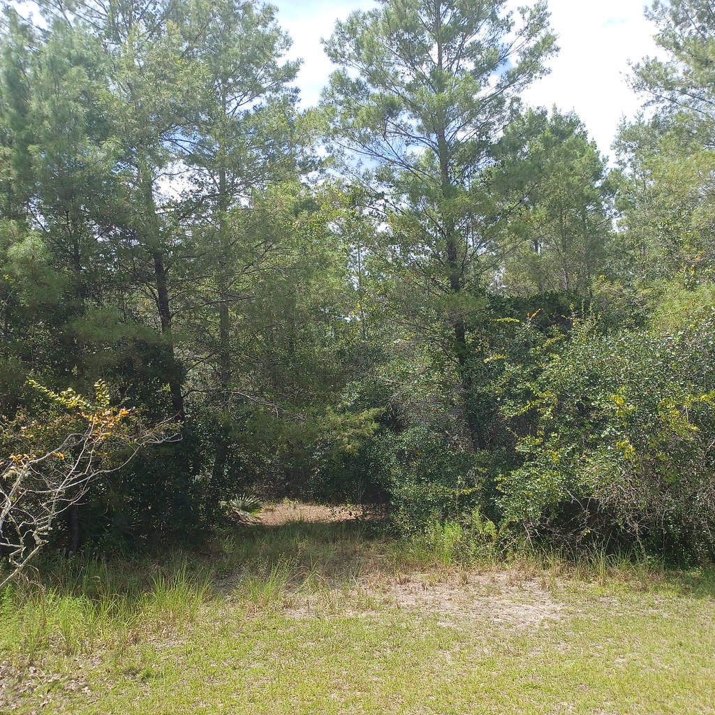 Seminole State Celebrates 15 Years of Interior Design Excellence - Seminole State College