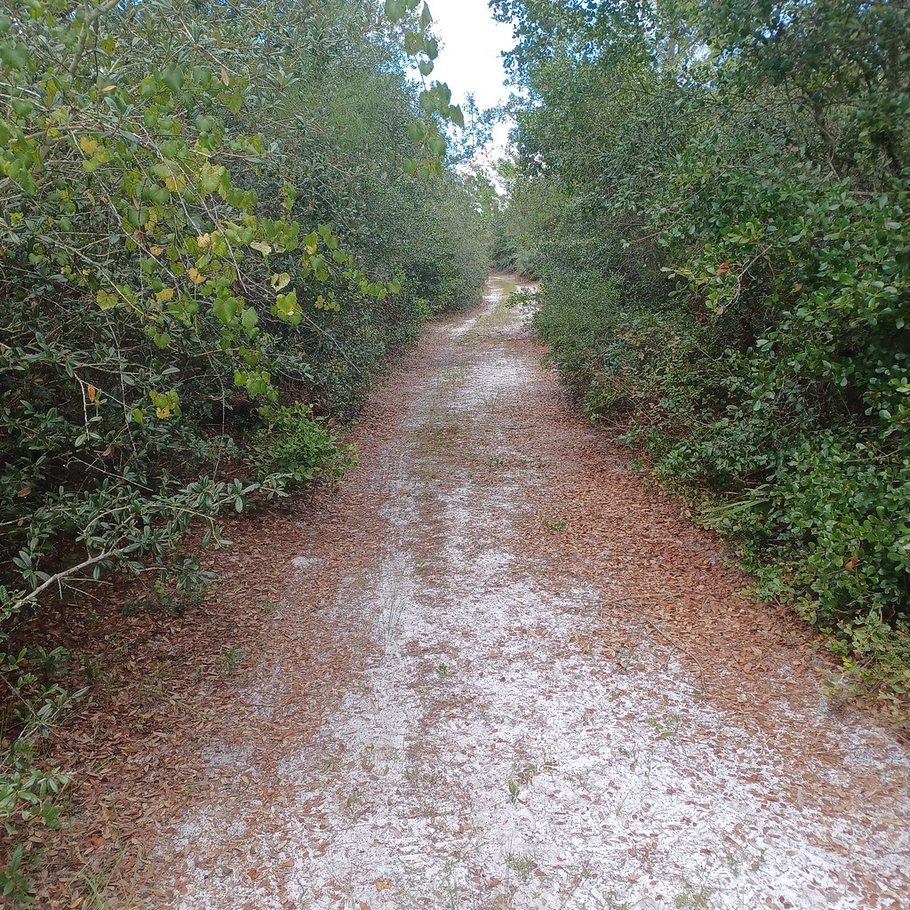 Seminole State Celebrates 15 Years of Interior Design Excellence - Seminole State College