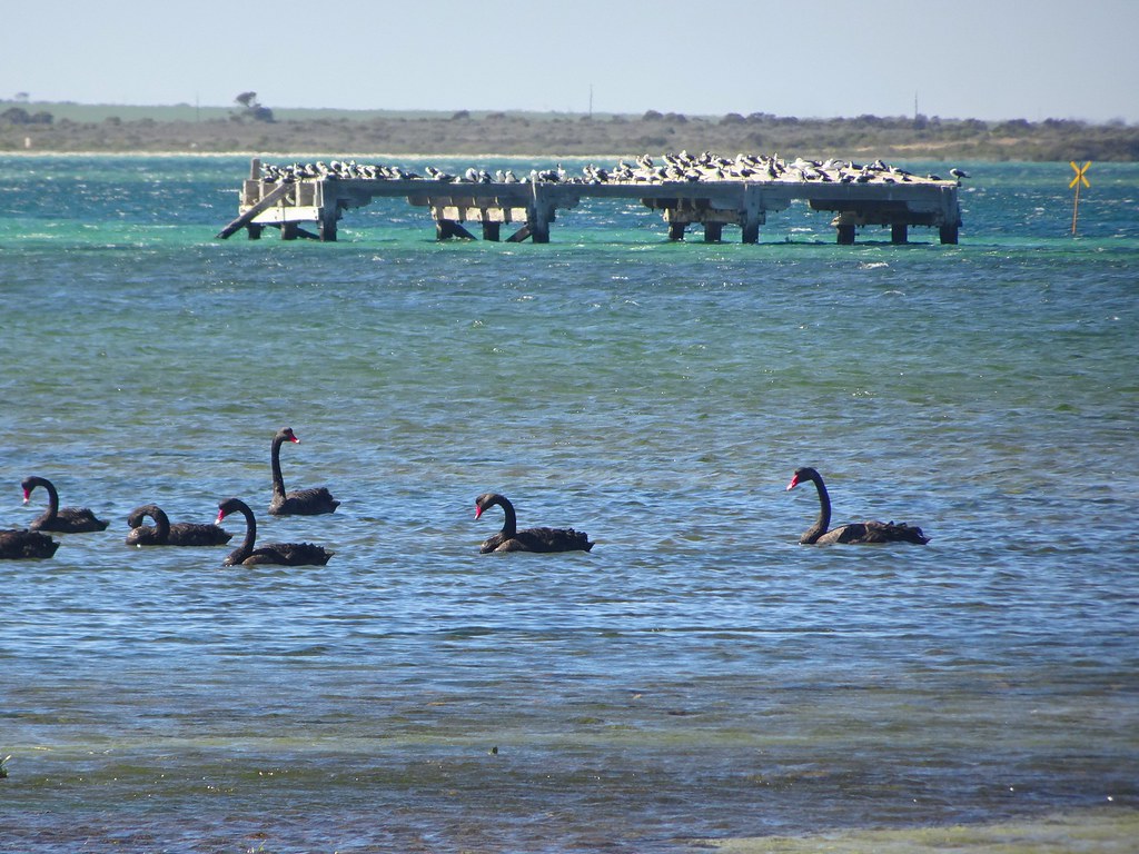 The Biggest Living Room Furniture Trends Designers Love for 2026 - Homes and Gardens