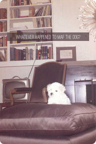 Whatever Happened To HGTV's Genevieve Gorder? - thelist.com