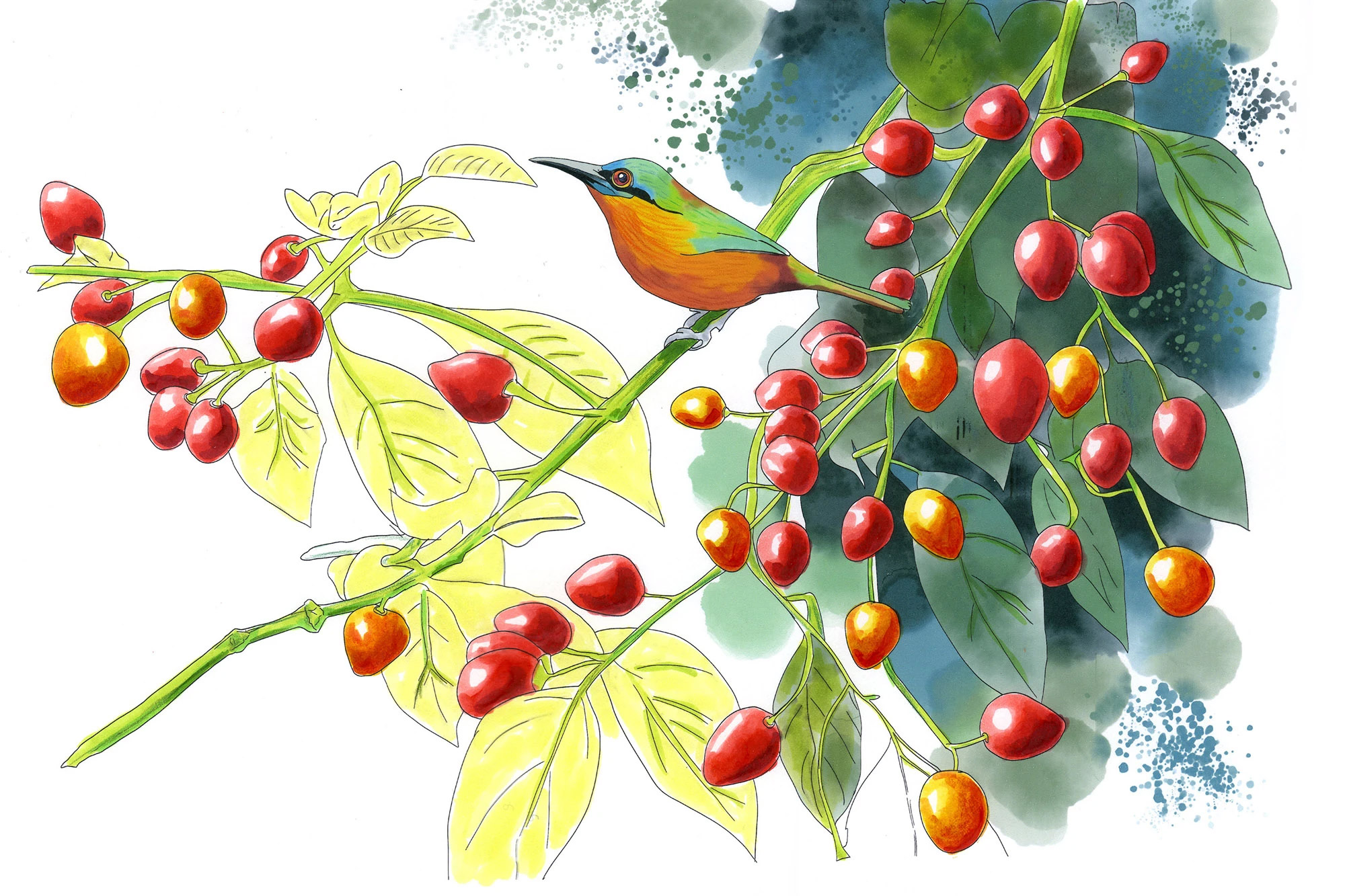 Chili Peppers of the World: Cultivars, Species, and Heat