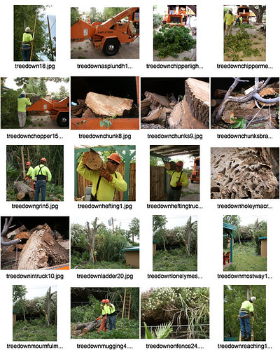 Phoenix to remove Cesar Chavez's name from city sites amid sexual assault allegations - 12News