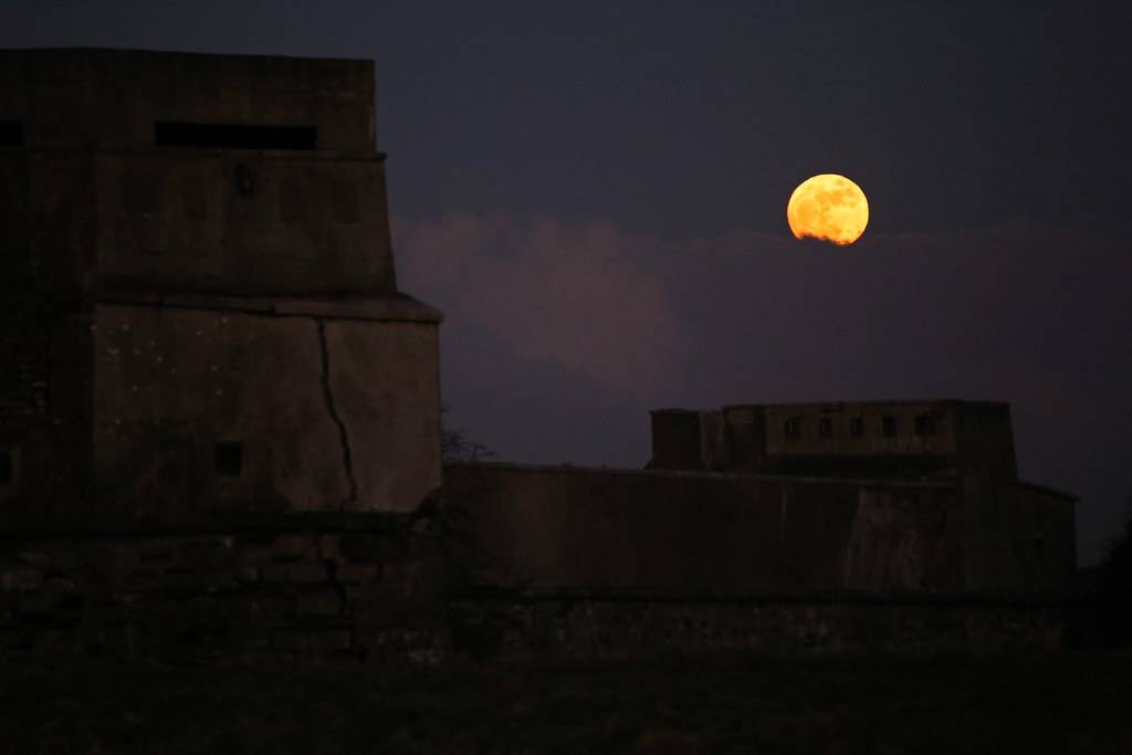 Phoenix Rises Early For Third Straight Win - Elon University Athletics