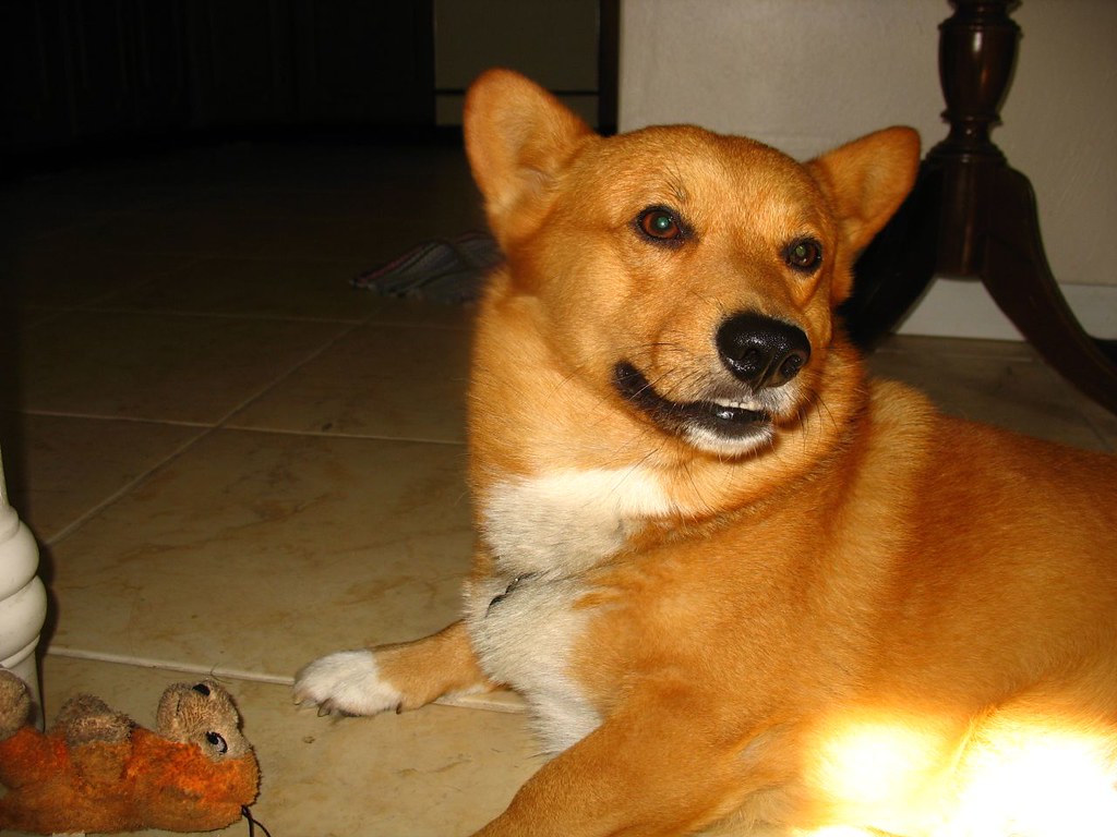 RFK Jr. pushes medical schools to teach more about nutrition - NBC News