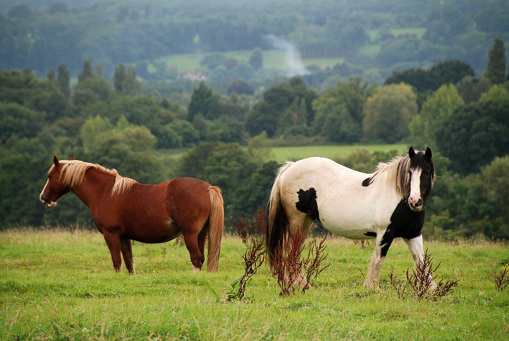 'Historic' heat wave could push Phoenix temps past 100 degrees - The Arizona Republic