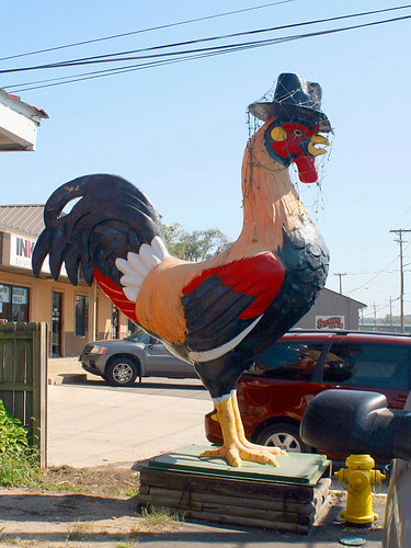 NASCAR Cup Series at Phoenix Results: Ryan Blaney Wows at Desert Double - FOX Sports