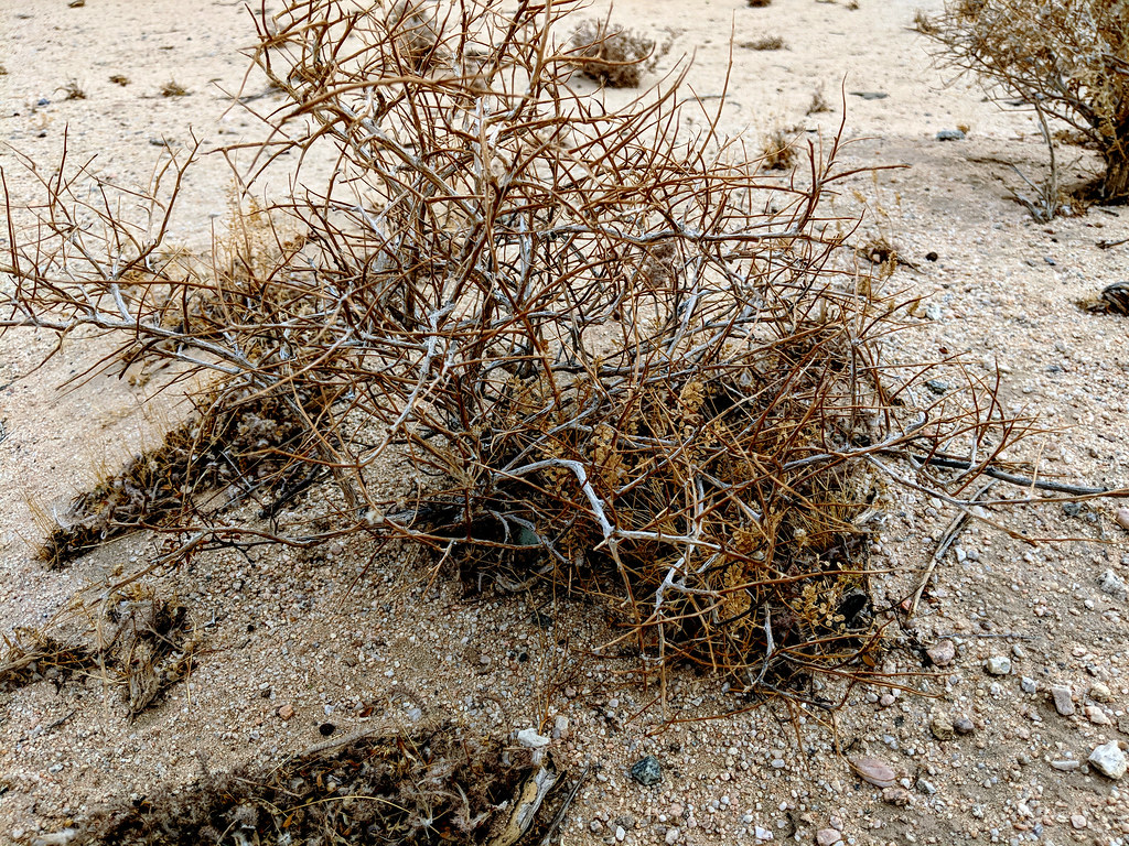 From desert escapes to mountain adventures: Delta adds Phoenix flights and expands Bozeman service from Austin - Delta News Hub