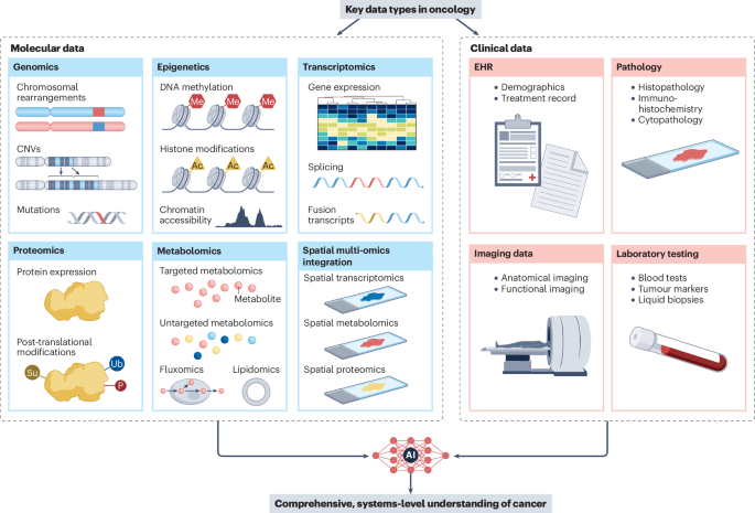 Advancing AI for multi-omics and clinical data integration in basic and translational cancer research