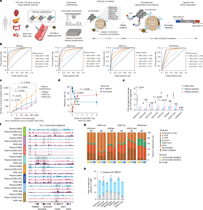 Cell-free chromatin state tracing reveals disease origin and therapy responses