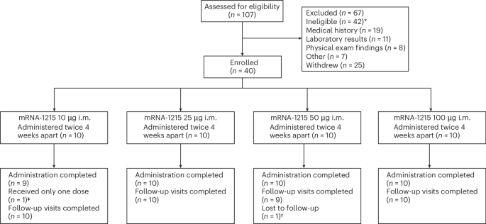A structure-based mRNA vaccine for Nipah virus in healthy adults: a phase 1 trial