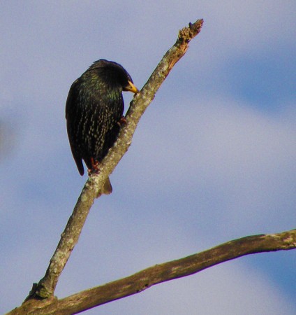 Medical Minds Matter Nonprofit Founded at UConn Growing Nationally - UConn Today