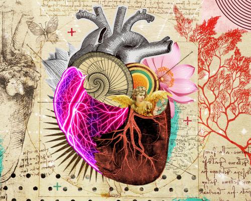 My cultural awakening: Leonardo da Vinci made me rethink surgery – I’ve since mended more than 3,000 hearts