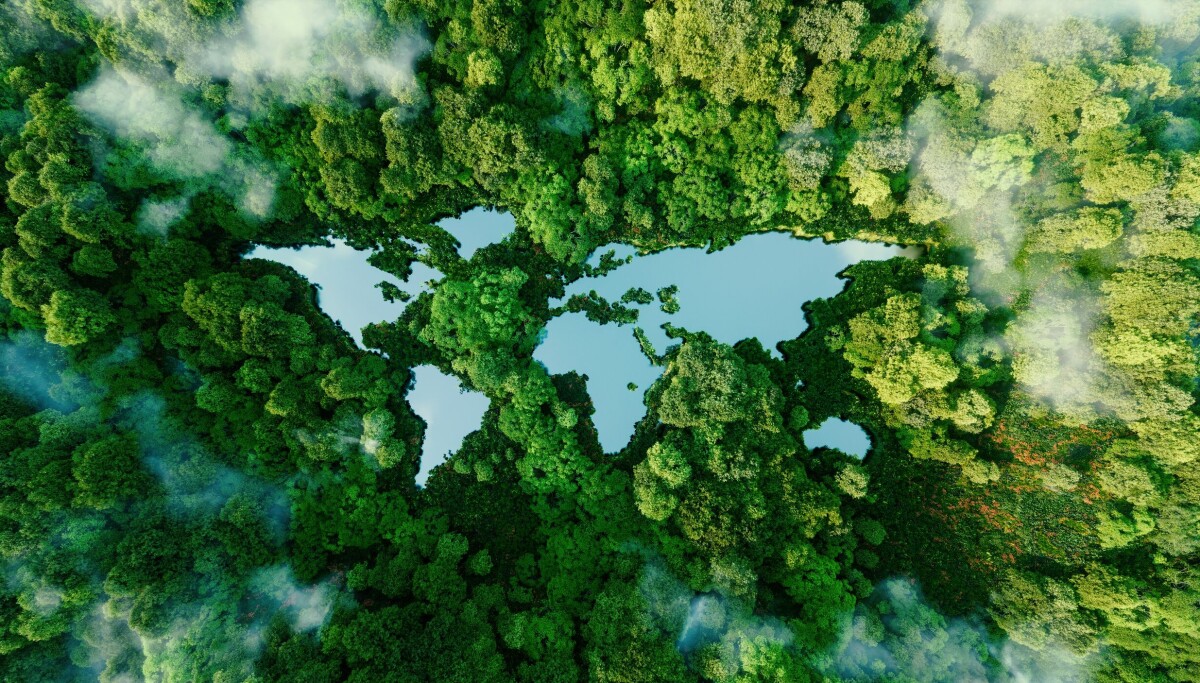 ZTE releases Sustainability Report 2025: driving a new chapter in sustainable development through AI