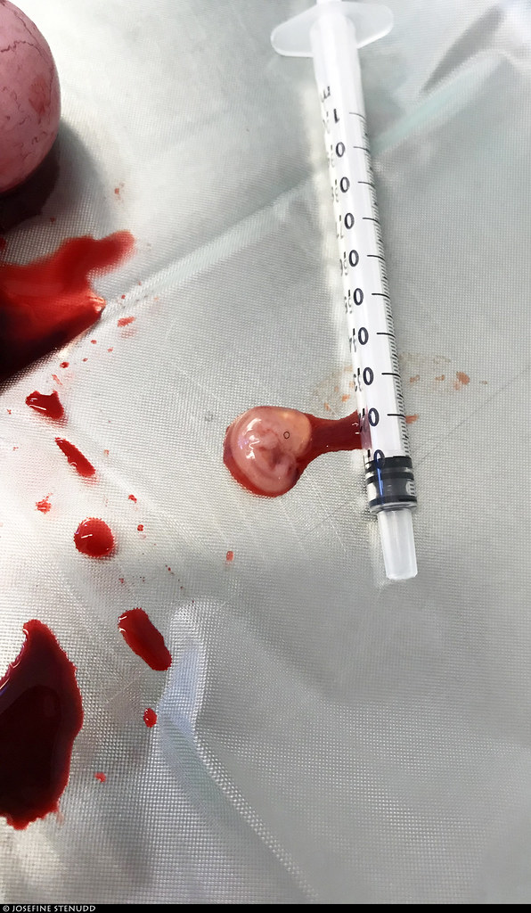 Woman found dead along Phoenix canal: PD - FOX 10 Phoenix