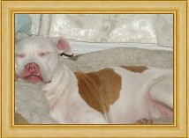 How long are TSA wait times at Phoenix Sky Harbor Airport? See list - The Arizona Republic