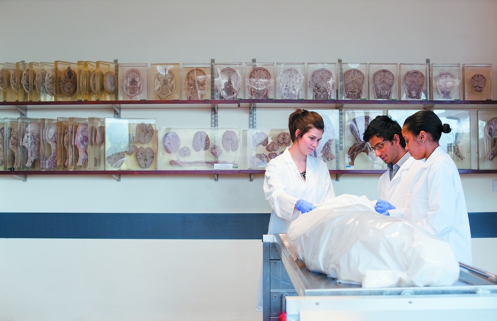 Medical schools pledge changes as RFK Jr. urges training in nutrition - The Washington Post