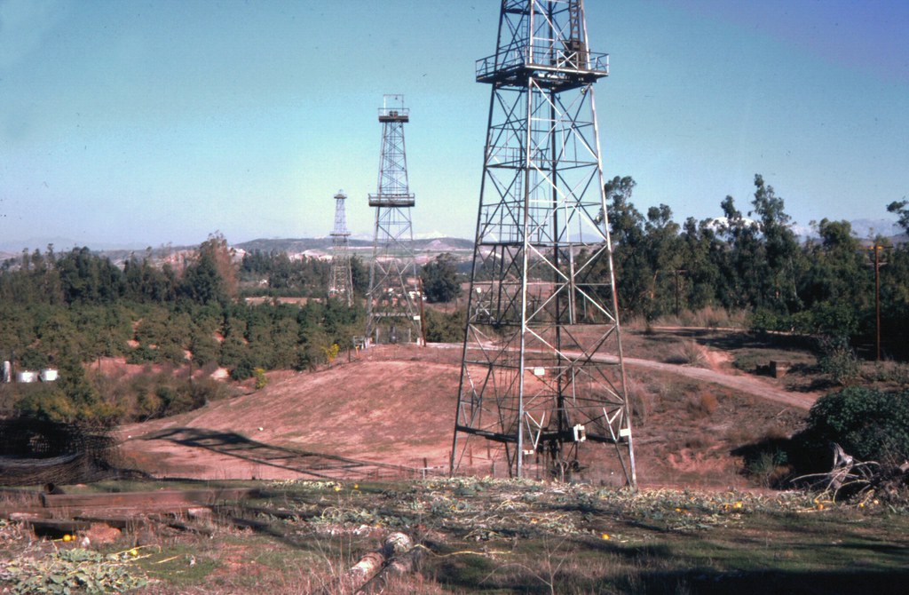 Orange County Medical Clinic Adds CPR Training to Community Events - OCFL Newsroom