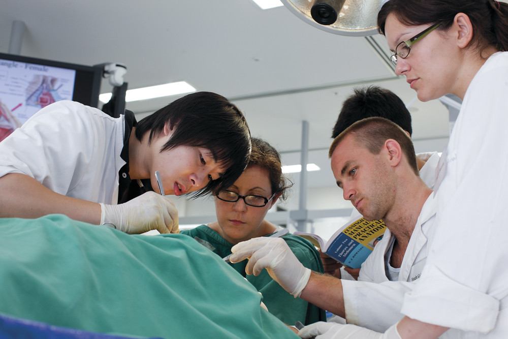 AIP to take Avanos Medical private in $1.27 billion deal - Reuters