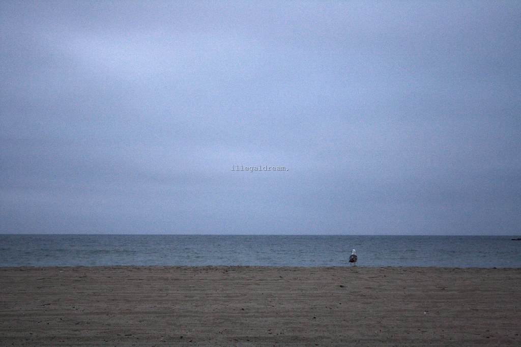 Suns-Lakers live updates. Short-handed Phoenix takes on Doncic, LeBron - Yahoo Sports