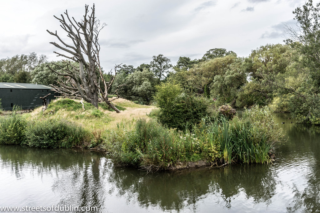 Phoenix Set For Pair Of Home Games - Elon University Athletics