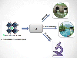 Next-generation CsPbBr3 perovskite nanocrystal chloride sensors: stability engineering and halide-exchange mechanisms in aqueous, biological, and environmental media