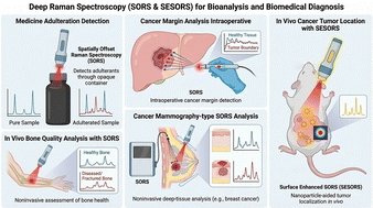 SORS and SESORS: deep Raman spectroscopy in biomedical analysis and disease diagnosis