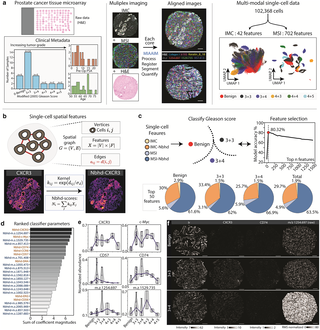 MIAAIM: Multi-omics image integration with dimensional reduction for tissue state mapping