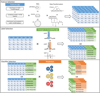 Complexity of resting cortical activity predicts neurophysiological responses to theta-burst stimulation but fails to generalize: A rigorous machine-learning approach