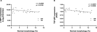 Differential protein expression profiles in human sperm from teratozoospermic and normozoospermic men identify LTBP1 and TGF-βR1 as potential biomarkers within the TGF-β signalling pathway