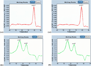 Preparation and application of Taq DNA polymerase monoclonal antibody guided by structural domain analysis