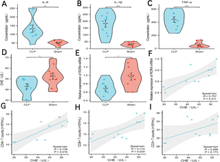 Serum cholinesterase as a biomarker for sepsis-associated immunosuppression via Hub gene RORA