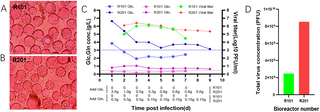 Stirred tank bioreactor process for chikungunya vaccine candidate VEEV-ΔC-CHIKV