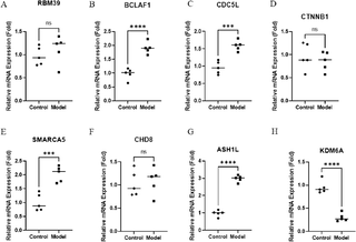 Integrative transcriptomic analysis identifies immune-associated candidate genes and altered immune cell infiltration in pulmonary arterial hypertension