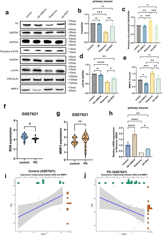 A prototype-augmented graph representation learning framework for identifying brain disorder-associated genes and facilitating drug repurposing