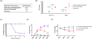 Understanding the impact of Klebsiella pneumoniae K-Antigen based MAPS vaccine design on the immune response in animal models